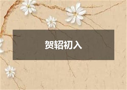 贺轺初入