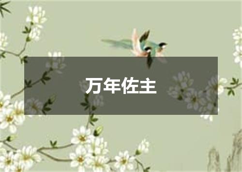 万年佐主