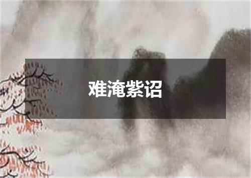 难淹紫诏