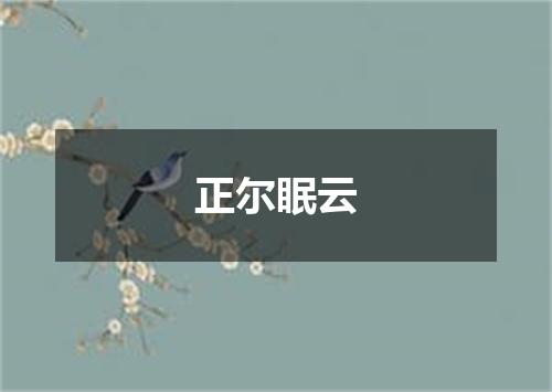 正尔眠云