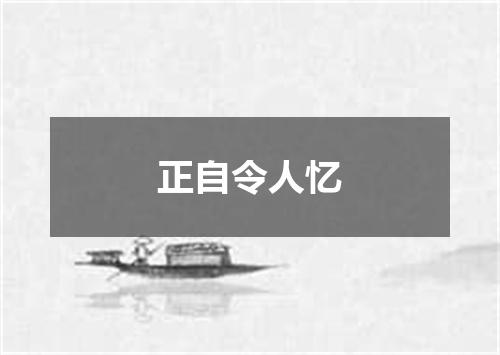 正自令人忆
