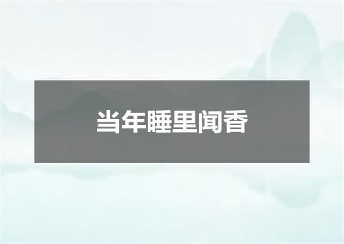 当年睡里闻香