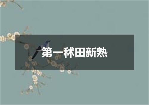 第一秫田新熟