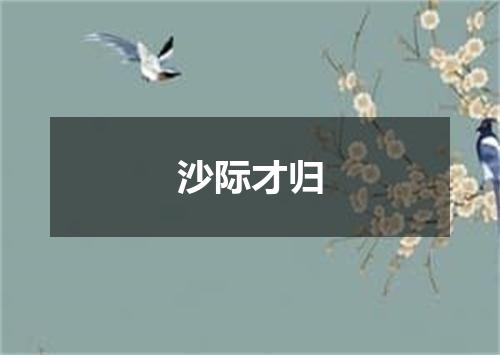 沙际才归