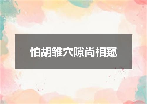 怕胡雏穴隙尚相窥