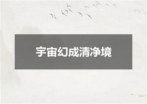 宇宙幻成清净境