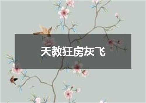天教狂虏灰飞