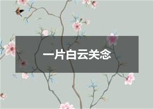 一片白云关念