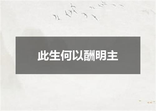 此生何以酬明主