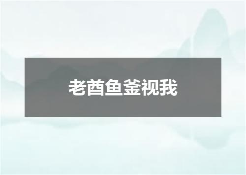 老酋鱼釜视我