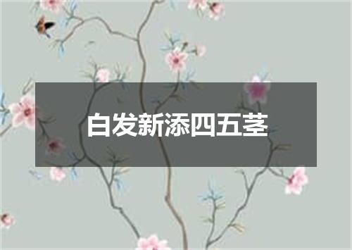 白发新添四五茎