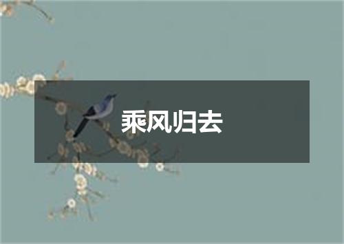 乘风归去