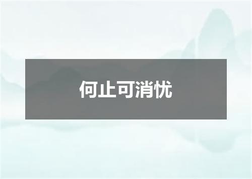 何止可消忧