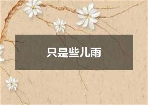 只是些儿雨