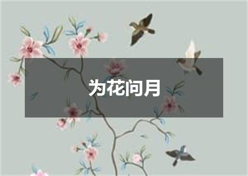 为花问月