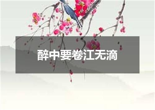 醉中要卷江无滴