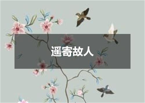 遥寄故人
