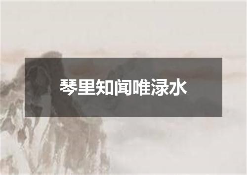 琴里知闻唯渌水