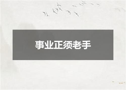 事业正须老手