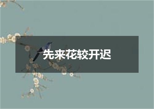 先来花较开迟
