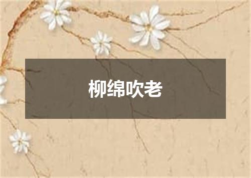 柳绵吹老