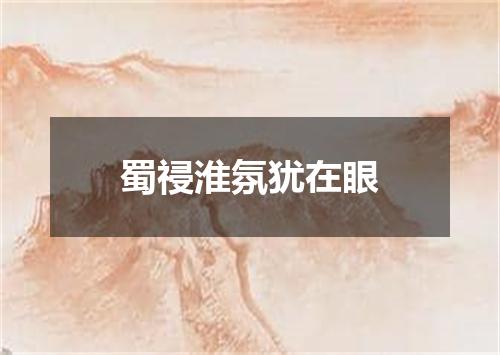 蜀祲淮氛犹在眼