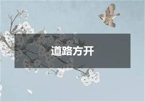 道路方开