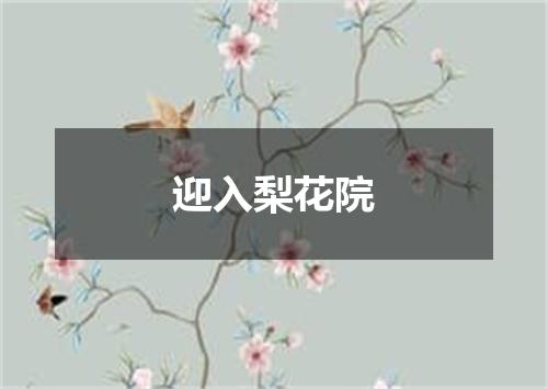 迎入梨花院