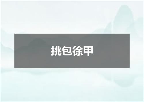 挑包徐甲