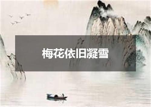 梅花依旧凝雪