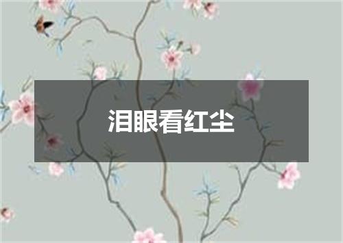 泪眼看红尘
