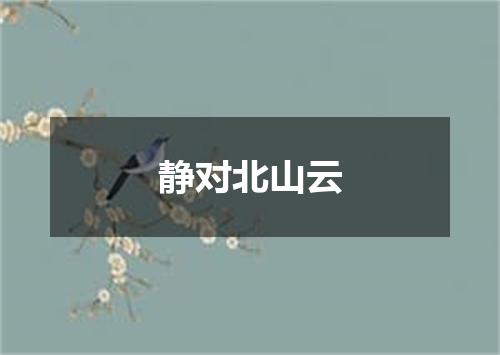 静对北山云