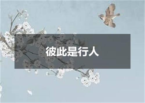彼此是行人