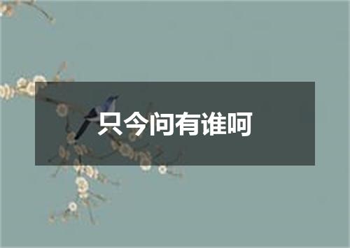只今问有谁呵