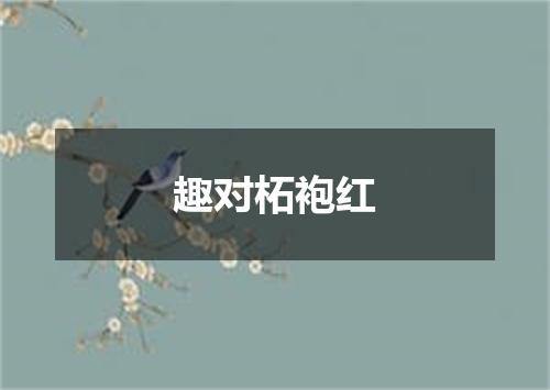 趣对柘袍红