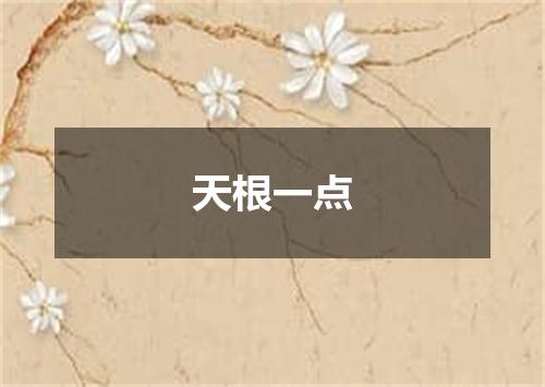 天根一点