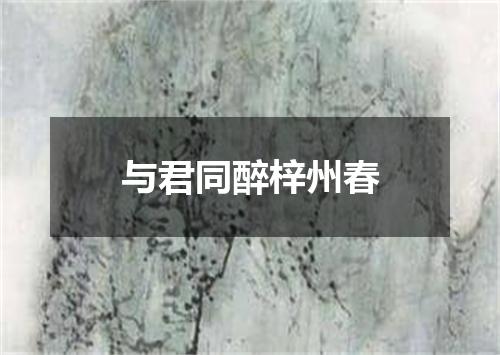与君同醉梓州春