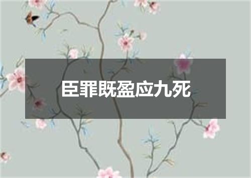臣罪既盈应九死