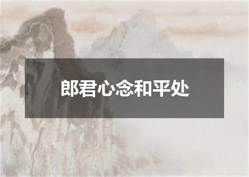 郎君心念和平处