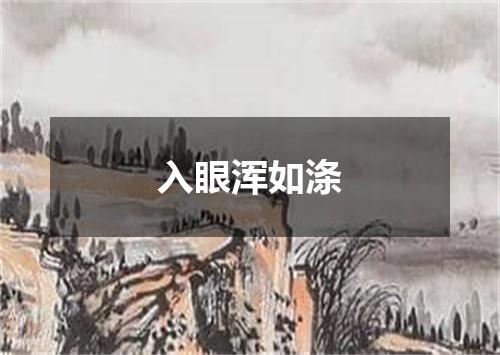 入眼浑如涤