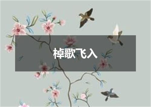 棹歌飞入