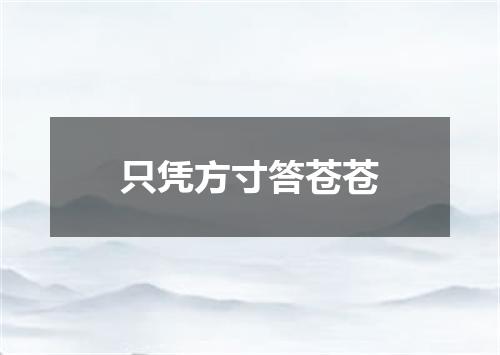 只凭方寸答苍苍