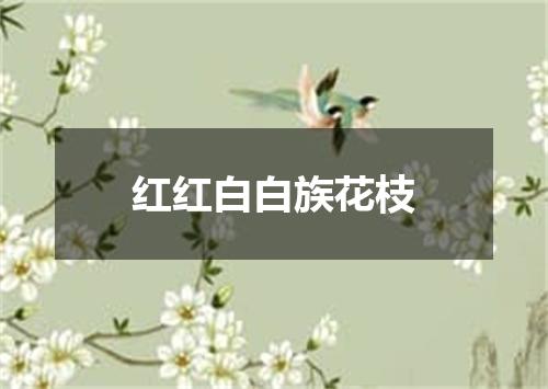 红红白白族花枝