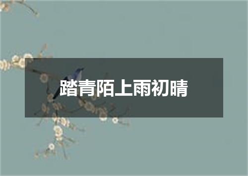 踏青陌上雨初晴