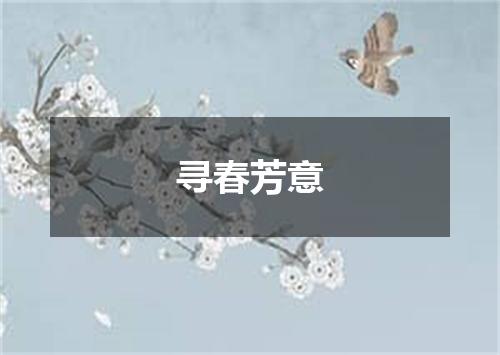 寻春芳意