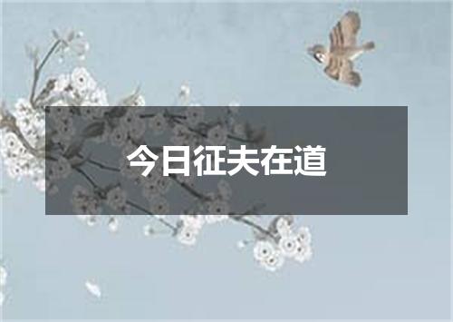 今日征夫在道