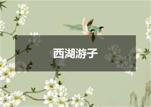 西湖游子