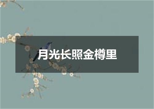 月光长照金樽里