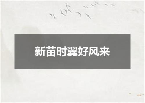 新苗时翼好风来