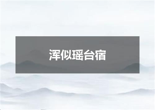 浑似瑶台宿